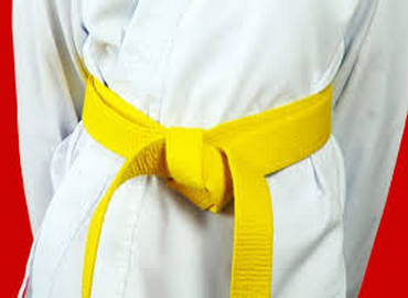 LSS Yellow Belt