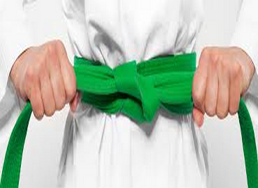 LSS Green Belt